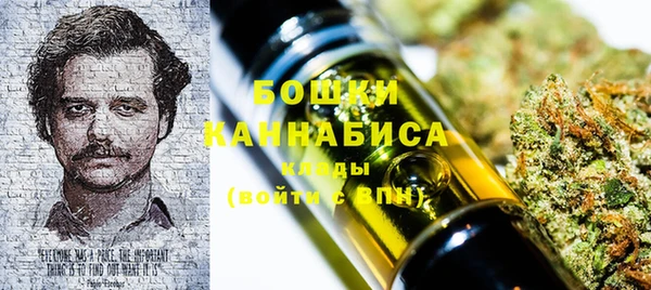 молекула духа Лиски