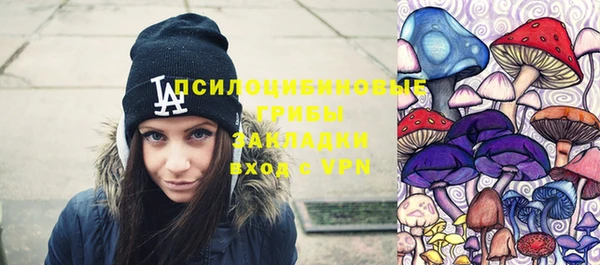 молекула духа Лиски